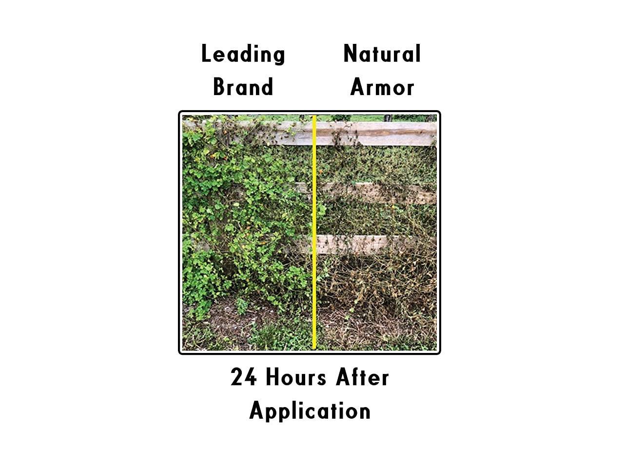 Weed and Grass Killer AllConcentrated Formula Contains No Glyphosate