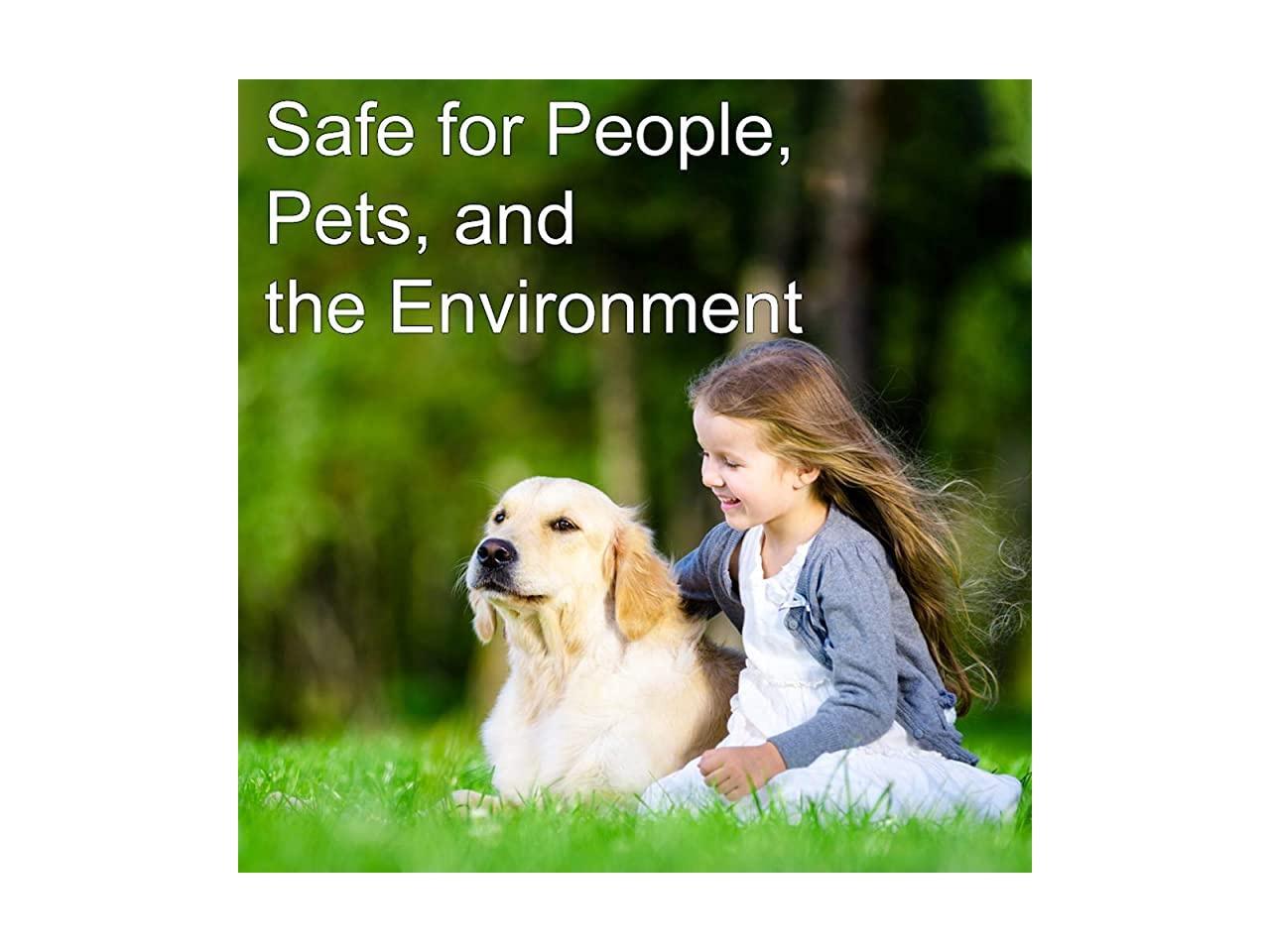 Weed and Grass Killer AllConcentrated Formula Contains No Glyphosate