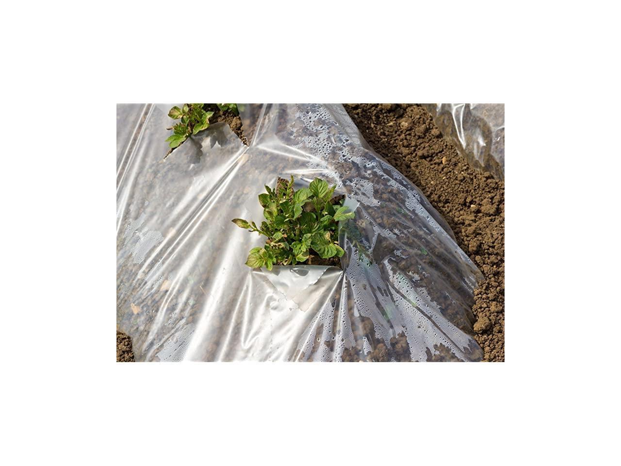 Greenhouse Clear Plastic Film 25 x 20 6mil 4 Year UV Treated Anti Condensation Heavy Duty