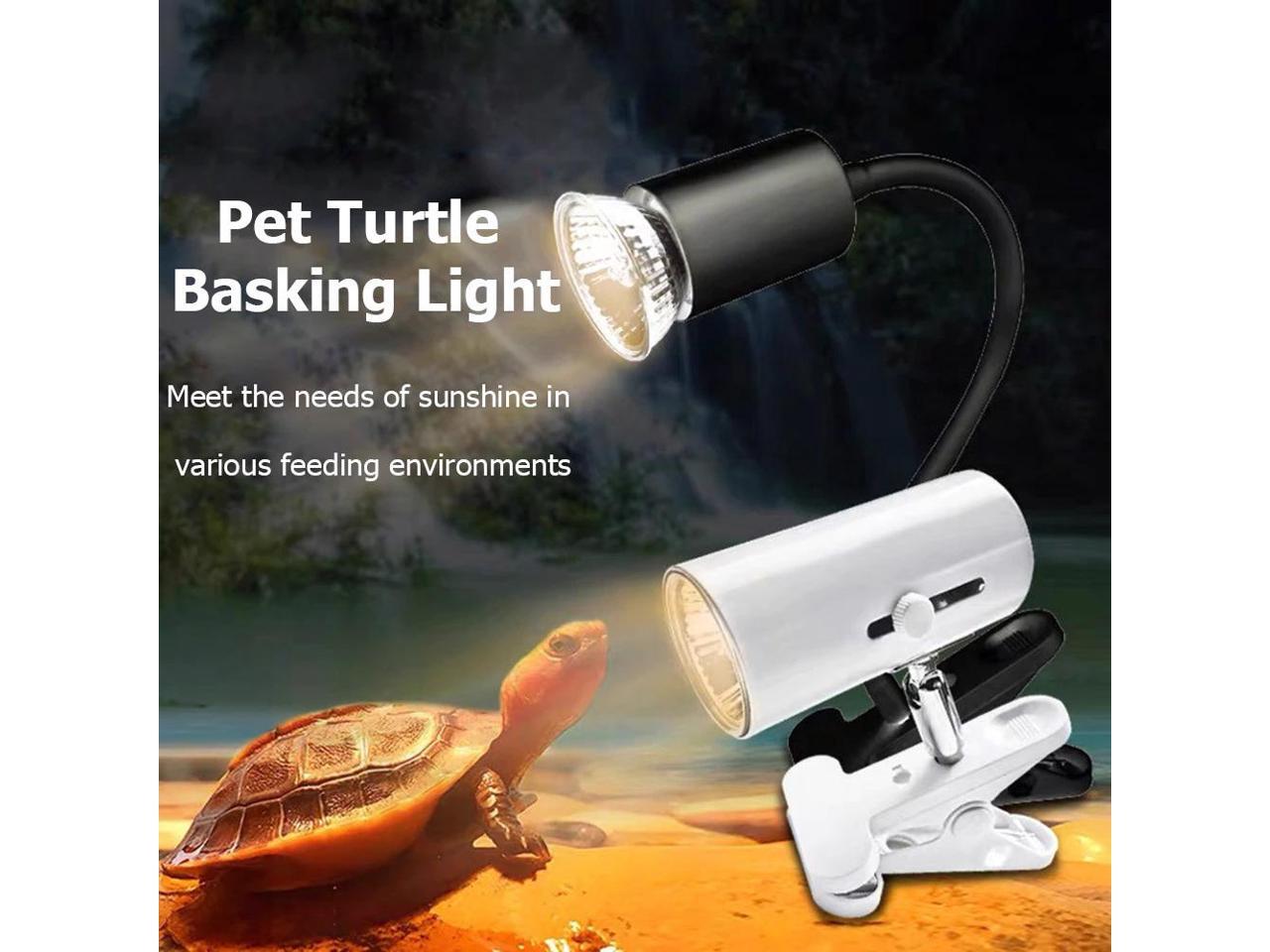 uv light for turtle