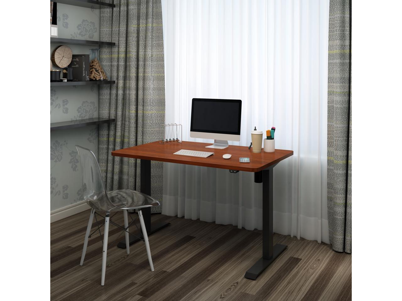 FlexiSpot Electric Sit Stand Desk Home Office Desks Standing desk, 48