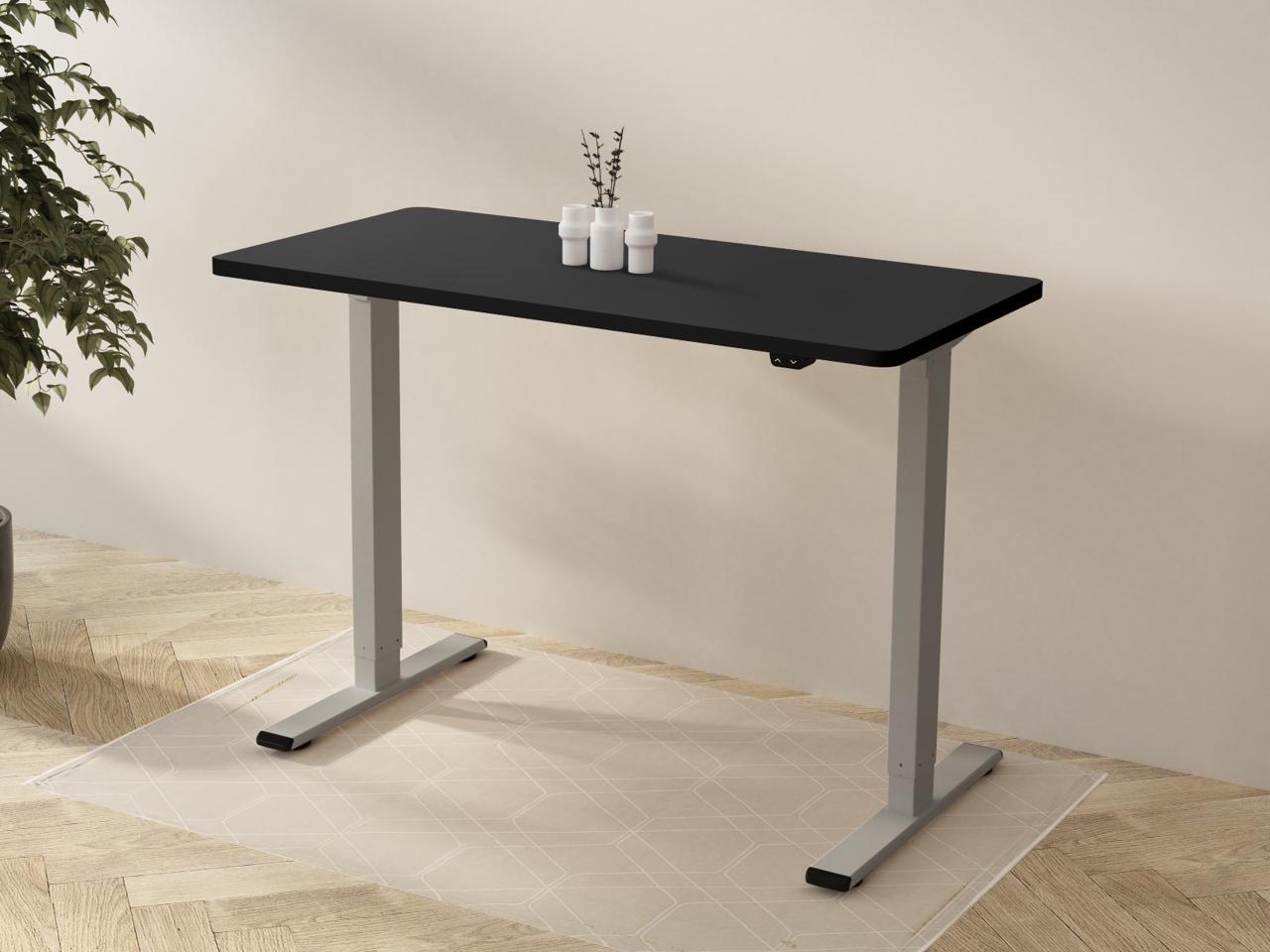 FLEXISPOT Home Office Electric Height Adjustable Desk Computer Table
