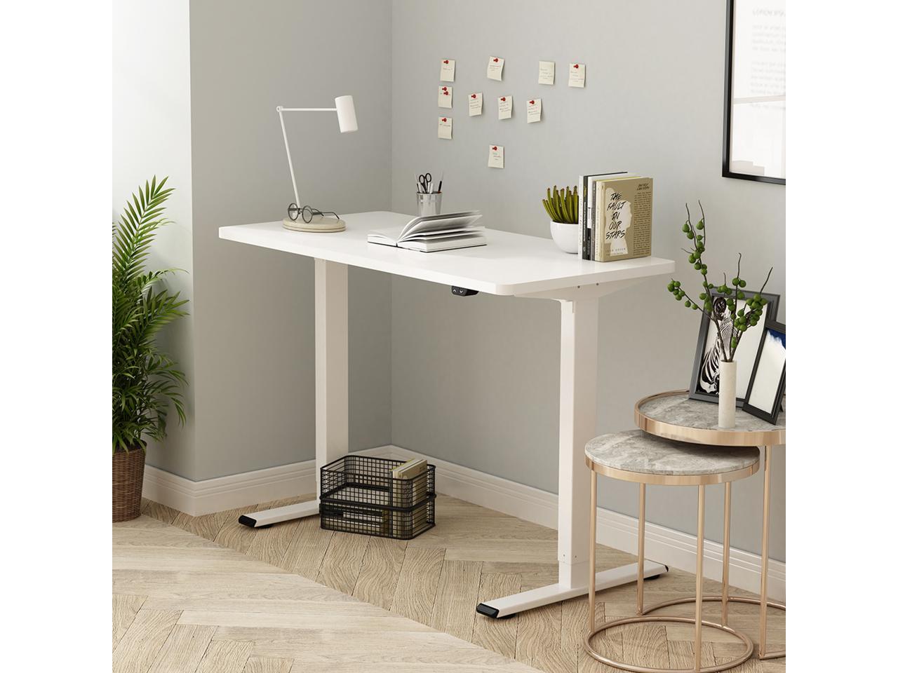 FlexiSpot Home Office Electric Height Adjustable Desk 40