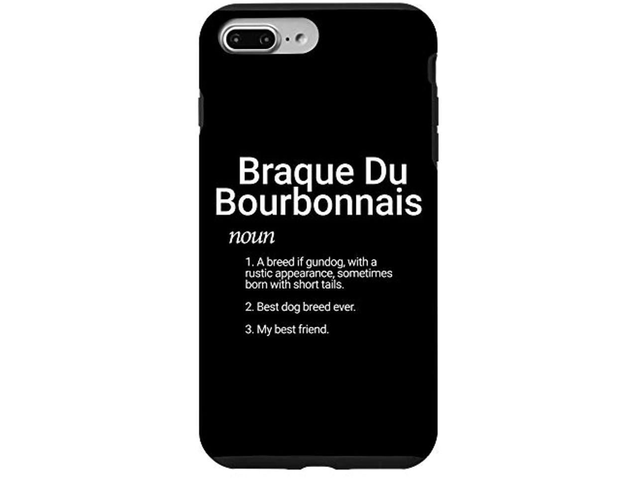 are braque du bourbonnais noisy