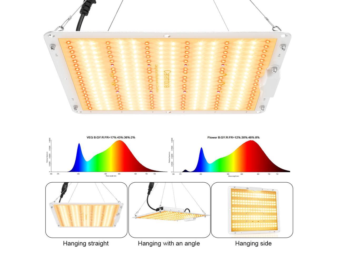 carambola 1000w led grow light