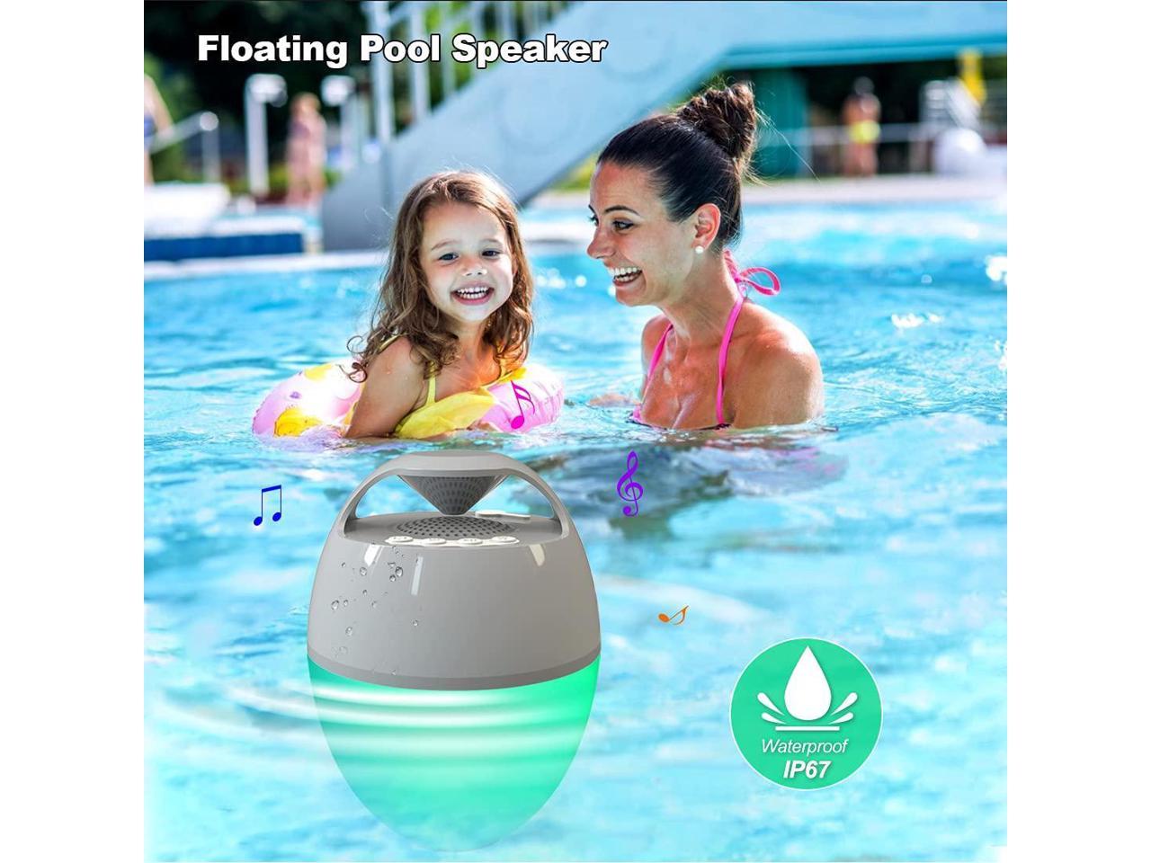 blufree pool speaker charger