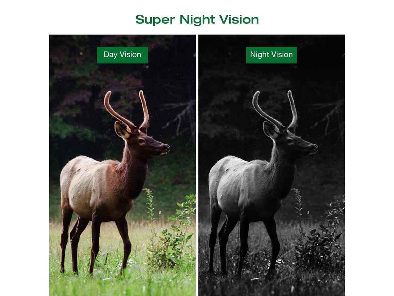 IR Night Vision 120° Wide Angle Hunting Details about   TOGUARD Mini Trail Camera 16MP 1080P 