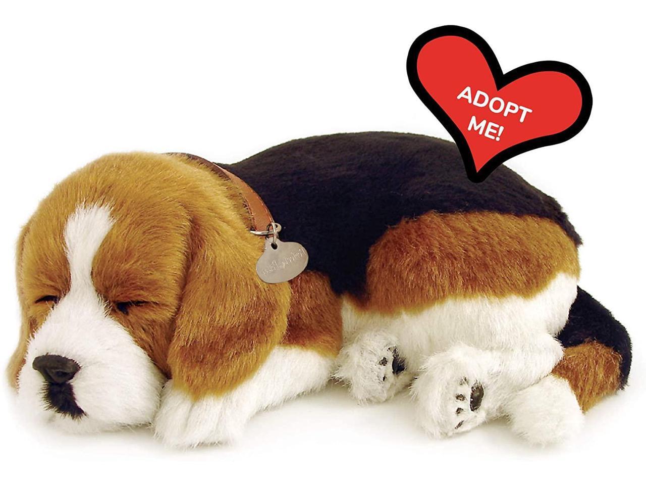 boppin beagle toy