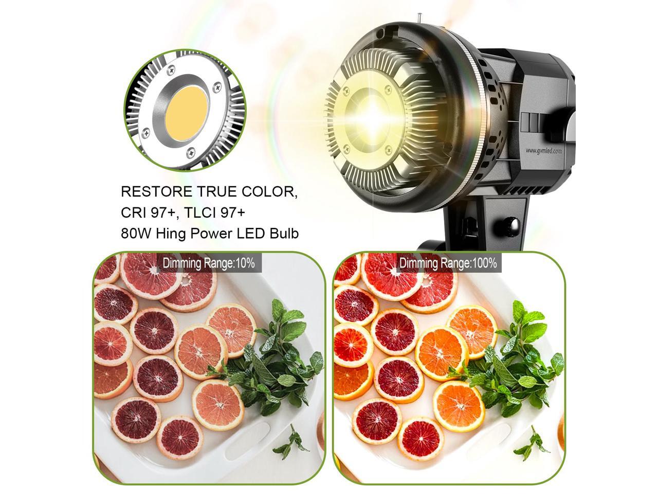 GVM P80S LED 4Light Kit with Umbrellas, Softboxes, and Backdrops