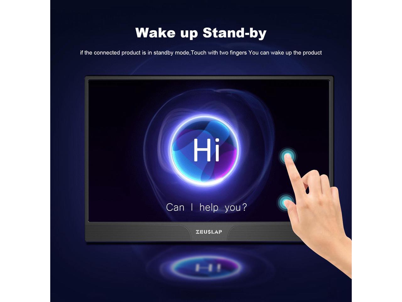 ZEUSLAP Z15ST 15.6Inch Touchscreen Portable Monitor, 1920x1080 60hz ...
