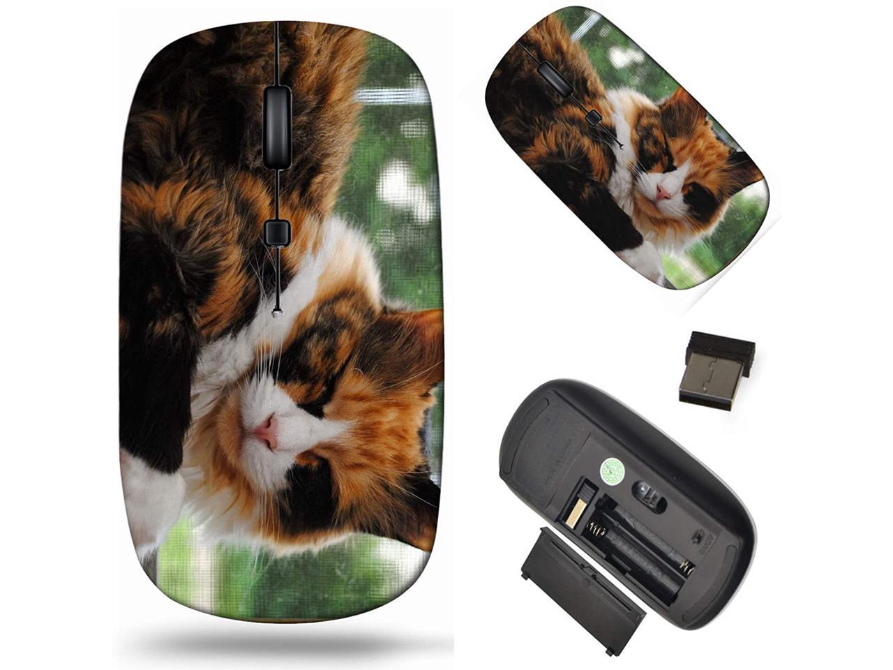 Laptop Mouse Cordless Portable and Silent Click PC Laptop Computer MacBook 1000 DPI for Office and Home Wireless Computer Mouse 2.4G with USB Receiver Image ID 30927578 Sleepy Kitty on a S Laptop Mouse Cordless Portable and Silent Click PC Laptop Computer MacBook 1000 DPI for Office and Home Wireless Computer Mouse 2.4G with USB Receiver Image ID 30927578 Sleepy Kitty on a S