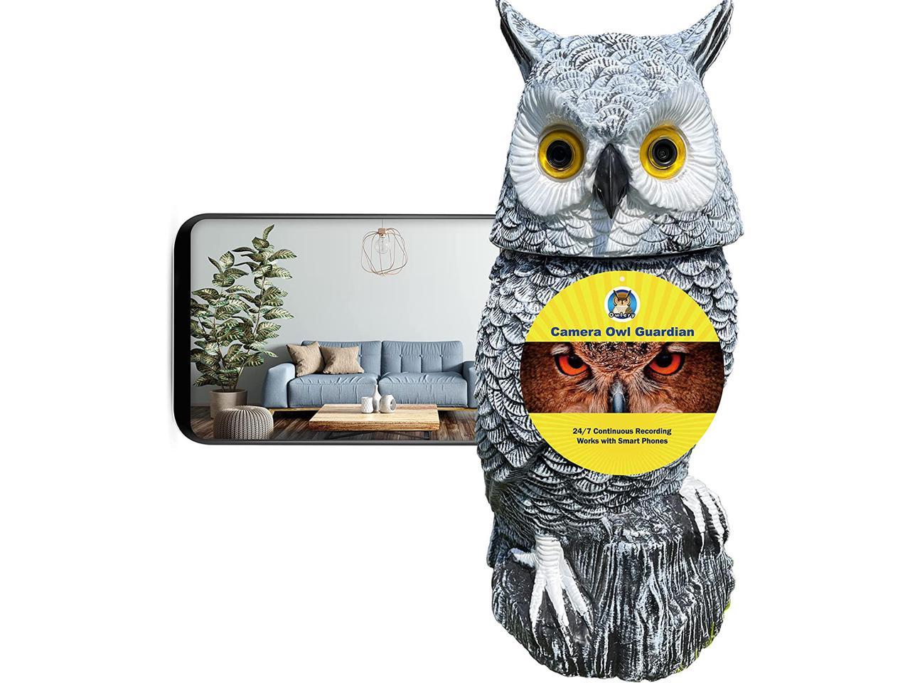 owl statue camera