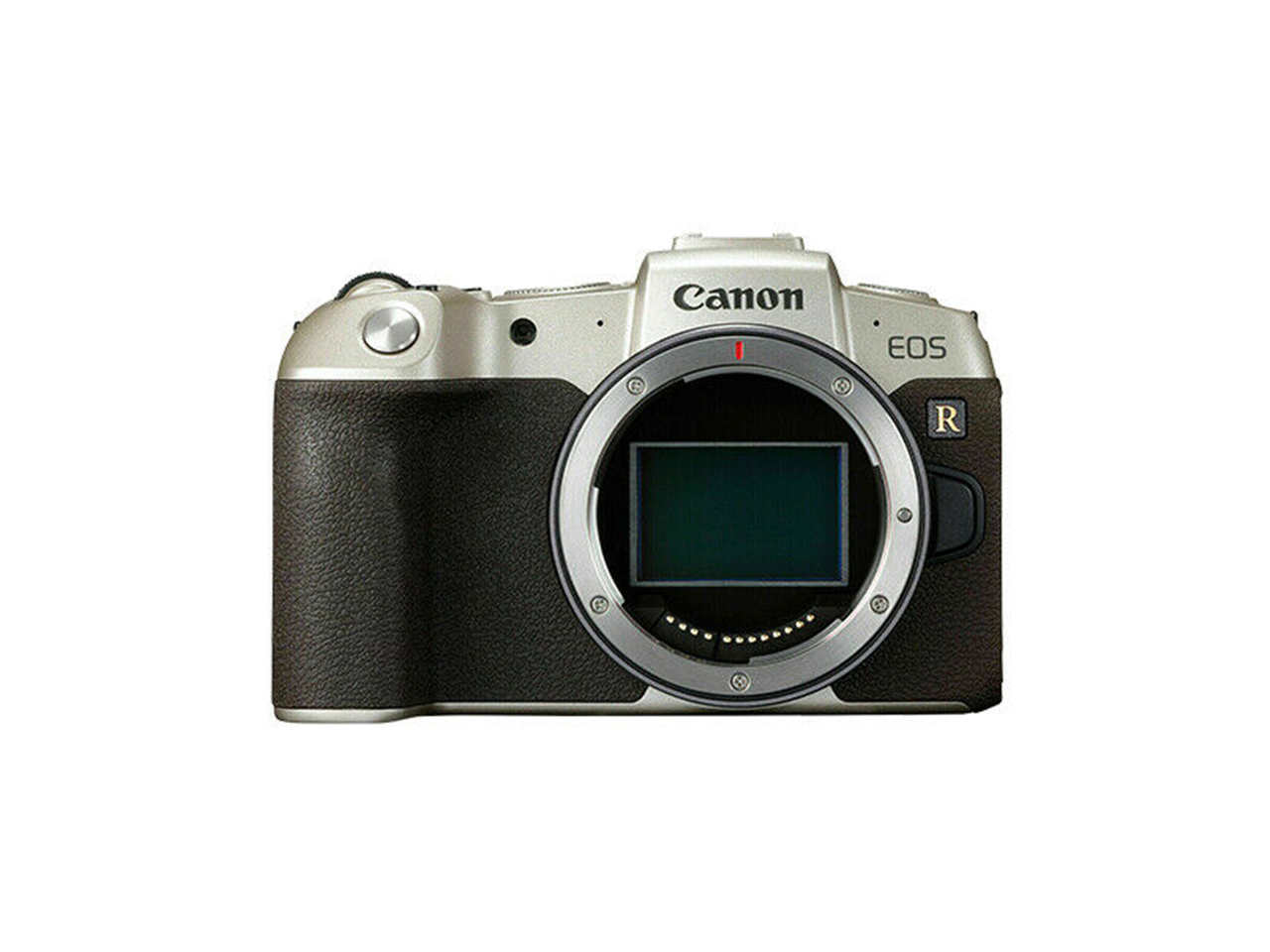 Eos rp body. Canon EOS Rp Gold. Canon Rp body Gold. Canon Rp серебристый. Canon EOS Rp body Gold фото.