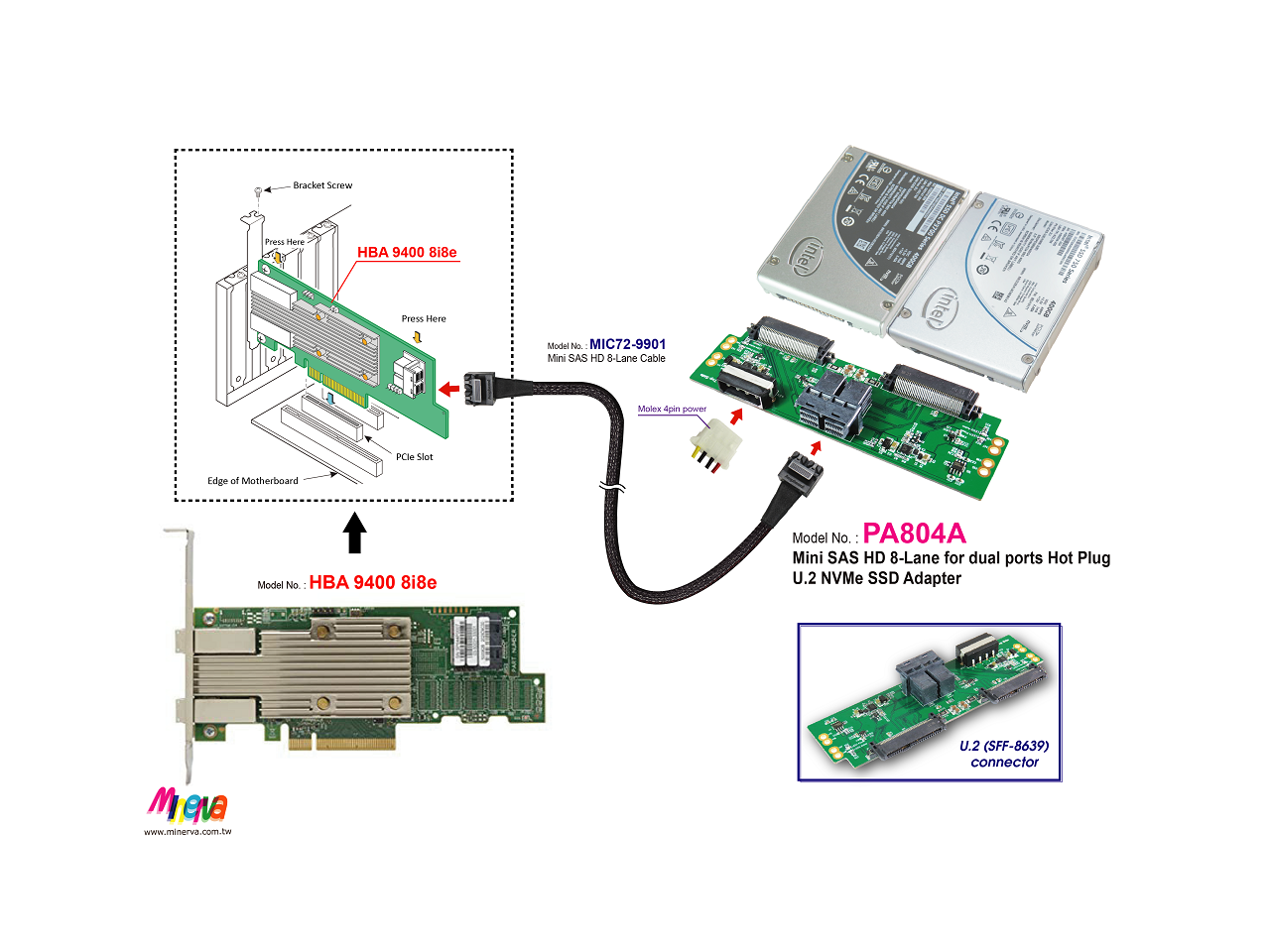 PA804A Mini SAS HD 8x (SFF8643 8Lane) to dual ports Hot Plug U.2