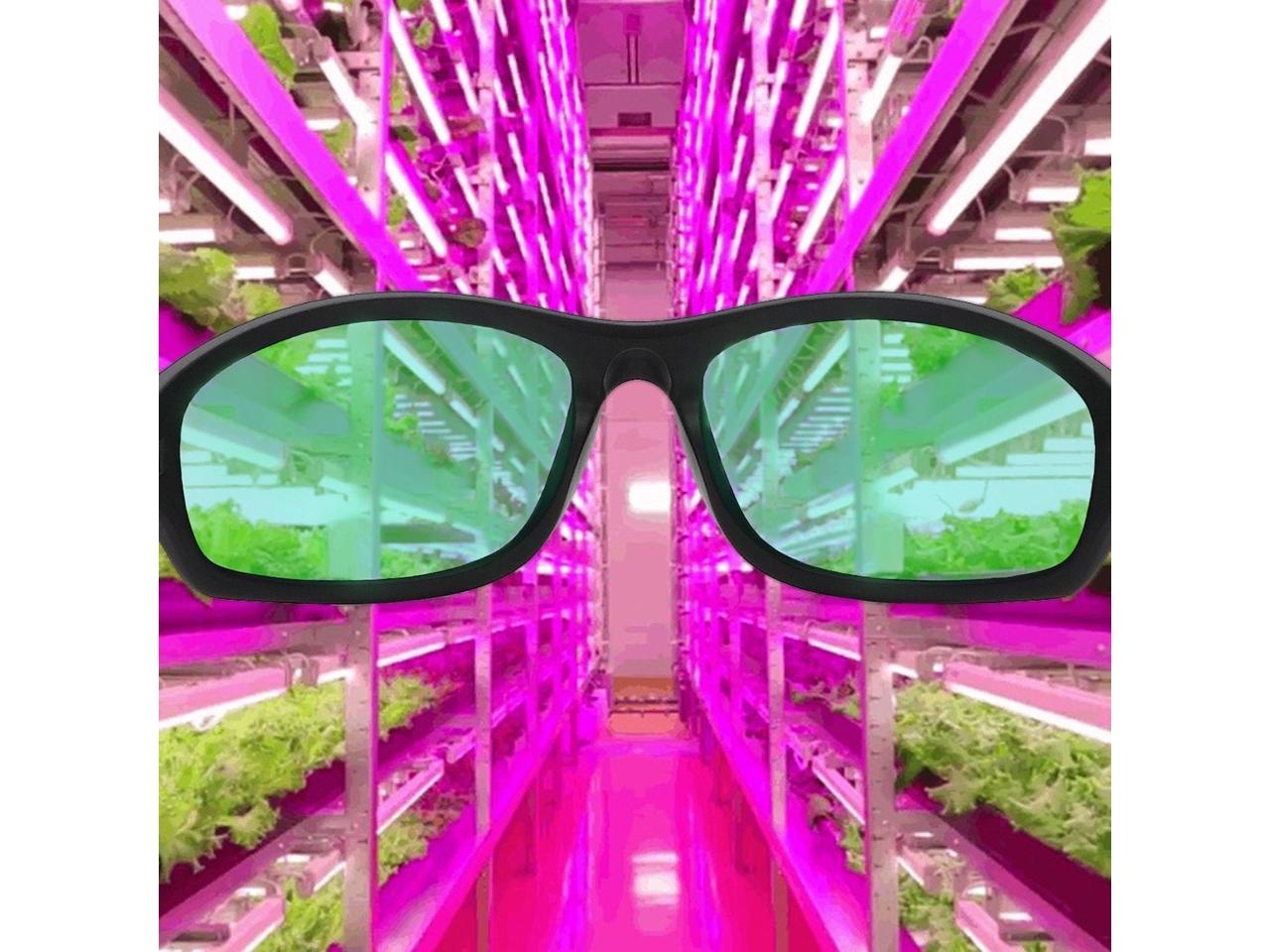 apollo horticulture grow light glasses