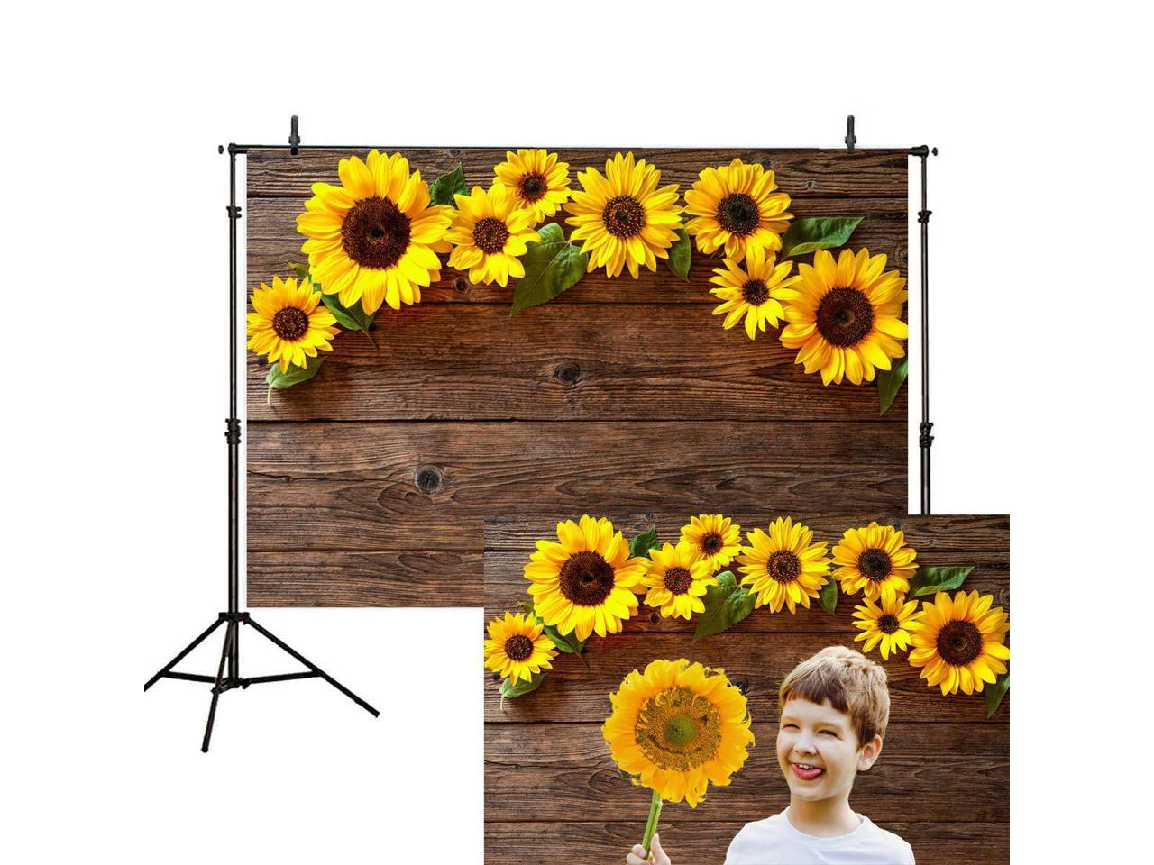Allenjoy 7x5ft Photography backdrops Black and White Stripe Stripes Watercolor Pink Rose Flower Golden Glitter Circles Banner Birthday Party Event Wedding Bridal Shower Photo Studio Booth Background