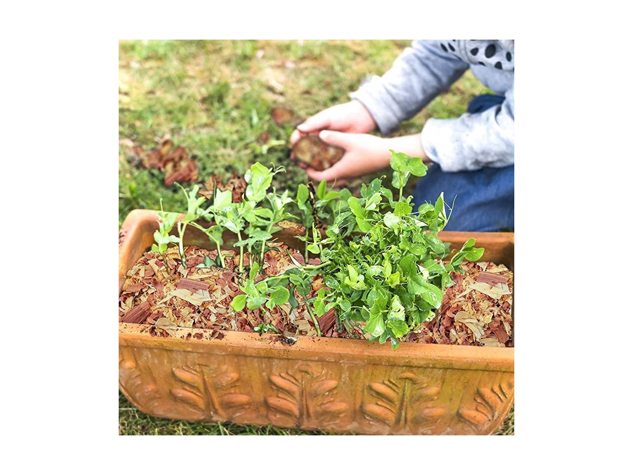 Natural Cedar Shavings Mulch Great for Outdoors or Indoor Potted