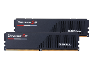 G.SKILL Ripjaws S5 Series 32GB (2 x 16GB) 288-Pin PC RAM DDR5 6000 (PC5 48000) Desktop Memory Model F5-6000J3636F16GX2-RS5K