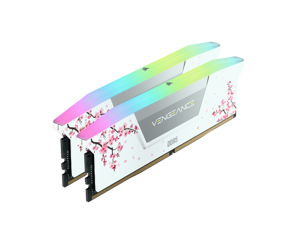 CORSAIR Vengeance RGB 32GB (2 x 16GB) 288-Pin PC RAM DDR5 6000 (PC5 48000) Custom Lab Cherry Blossom Desktop Memory Model CMH32GX5M2B6000Z30WCB - White