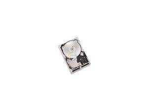 Seagate Cheetah 10K.7 ST3300007LC 300GB 10000 RPM 8MB Cache SCSI