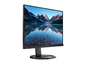 NeweggBusiness - PHILIPS 241B8QJEB 24