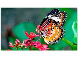NEC UN492S 49" Even Ultra Narrow Bezel Full HD LED Commercial LCD Display with USB Media Player, RPi Compute Module Compatible, OPS Slot Support, Local Dimming, 700nit NEC UN492S 49" Even Ultra Narrow Bezel Full HD LED Commercial LCD Display with USB Media Player, RPi Compute Module Compatible, OPS Slot Support, Local Dimming, 700nit