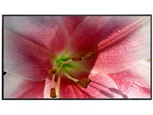 Elite Screens Aeon AR100WH2 Fixed Frame Projection Screen - 100" - 16:9 - Wall Mount Elite Screens Aeon AR100WH2 Fixed Frame Projection Screen - 100" - 16:9 - Wall Mount