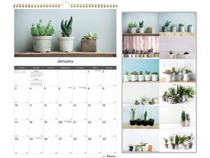 12-Month Wall Calendar, 12 x 17, Succulent Plants, 2021 C173121 12-Month Wall Calendar, 12 x 17, Succulent Plants, 2021 C173121