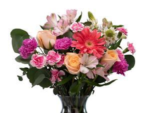 Farm Direct Fresh Flower Bouquet - Sorbet Mixed Rose Bouquet