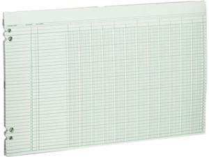 Wilson Jones G50-12 Accounting Sheets, 12 Columns, 11 x 17, 100 Loose Sheets/Pack, Green Wilson Jones G50-12 Accounting Sheets, 12 Columns, 11 x 17, 100 Loose Sheets/Pack, Green
