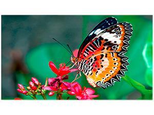NEC UN462A 46" Ultra Narrow Bezel Full HD LED LCD Commercial Display with USB/Micro SD Media Player, 700nit NEC UN462A 46" Ultra Narrow Bezel Full HD LED LCD Commercial Display with USB/Micro SD Media Player, 700nit