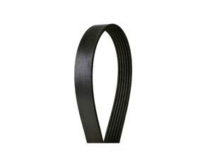 CONTINENTAL 4060822 Multi-V Belt CONTINENTAL 4060822 Multi-V Belt