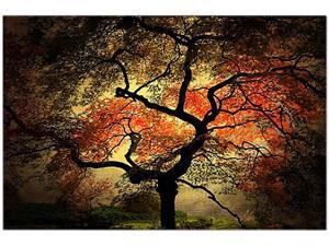Trademark Fine Art Philippe Sainte-Laudy 'Japanese' Canvas Art Trademark Fine Art Philippe Sainte-Laudy 'Japanese' Canvas Art