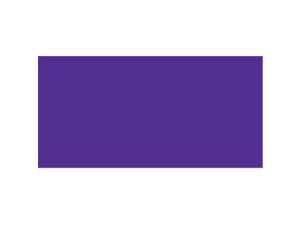 Duck Tape 1.88"X20yd-Purple Duchess Duck Tape 1.88"X20yd-Purple Duchess