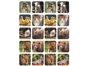 Baby Animals Real Photos Theme Stickers