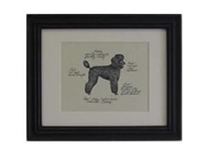 Clapper Hollow HC84 Poodle Puppy Black Framed Print Clapper Hollow HC84 Poodle Puppy Black Framed Print