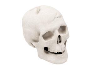 Regal Flame Human Skull Ceramic Wood Large Gas Fireplace Logs for All Types of Gas Inserts, etc - White