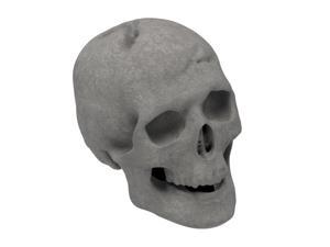 Regal Flame Human Skull Ceramic Wood Large Gas Fireplace Logs for All Types of Gas Inserts, etc - Gray
