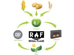 Regal Flame Ultra Pure Ventless Bio Ethanol Fireplace Clean Burning Fuel - 24 Quarts