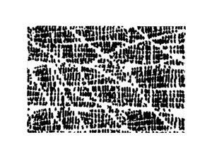 21" x 30" Black and White Decorative Afton Design Area Rug 21" x 30" Black and White Decorative Afton Design Area Rug