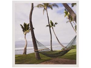 3dRose Hammock under Hawaiian palm trees, Maui, Hawaii - US10 JGS0039 - Jim Goldstein - Greeting Cards, 6 x 6 inches, set of 12 (gc_89190_2) 3dRose Hammock under Hawaiian palm trees, Maui, Hawaii - US10 JGS0039 - Jim Goldstein - Greeting Cards, 6 x 6 inches, set of 12 (gc_89190_2)