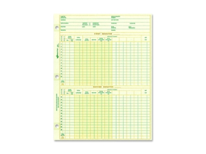 Dominion Blueline, Inc National Payroll Sheet 1 Year 10-7/8"x8-1/2" 100SH/PK Dominion Blueline, Inc National Payroll Sheet 1 Year 10-7/8"x8-1/2" 100SH/PK