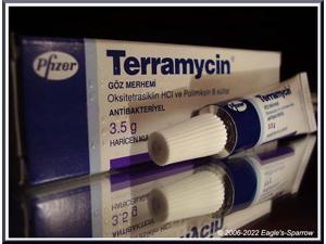 Terramycin Ophthalmic Ointment w/Polymyxin B Sulfate - 25 pack - Expiration: MAY 2024