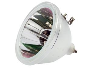 RP-P022-1 Philips OEM PHI/388 Replacement DLP Bare Bulb