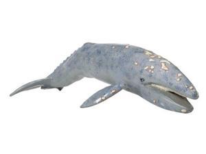 Monterey Bay Collection - Gray Whale Adult