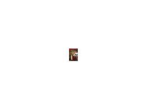 LOVES CHRISTMAS JOURNEY (DVD) LOVES CHRISTMAS JOURNEY (DVD)