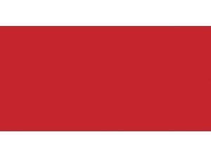 Tombow Dual Brush Marker Open Stock-856 Chinese Red Tombow Dual Brush Marker Open Stock-856 Chinese Red