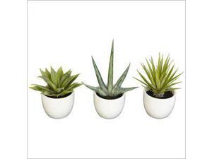 Southwest Collection (Set of 3)