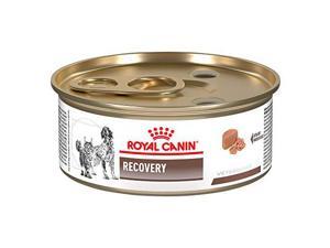 royal canin recovery rs