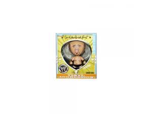 FESTUS - VINYL AGGRESSION 6 WWE WRESTLING ACTION FIGURE (3 TALL) FESTUS - VINYL AGGRESSION 6 WWE WRESTLING ACTION FIGURE (3 TALL)
